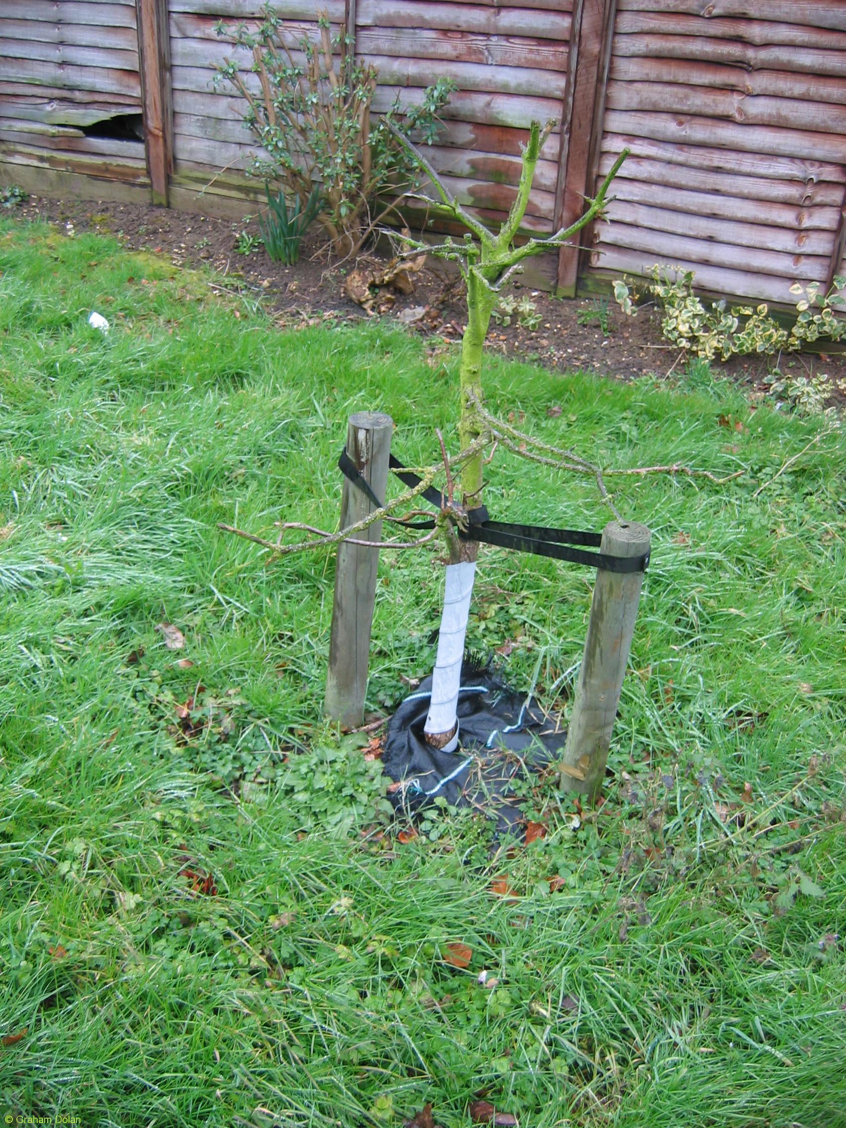 Greenwich Meridian Marker; England; Hertfordshire; Stanstead St Margarets